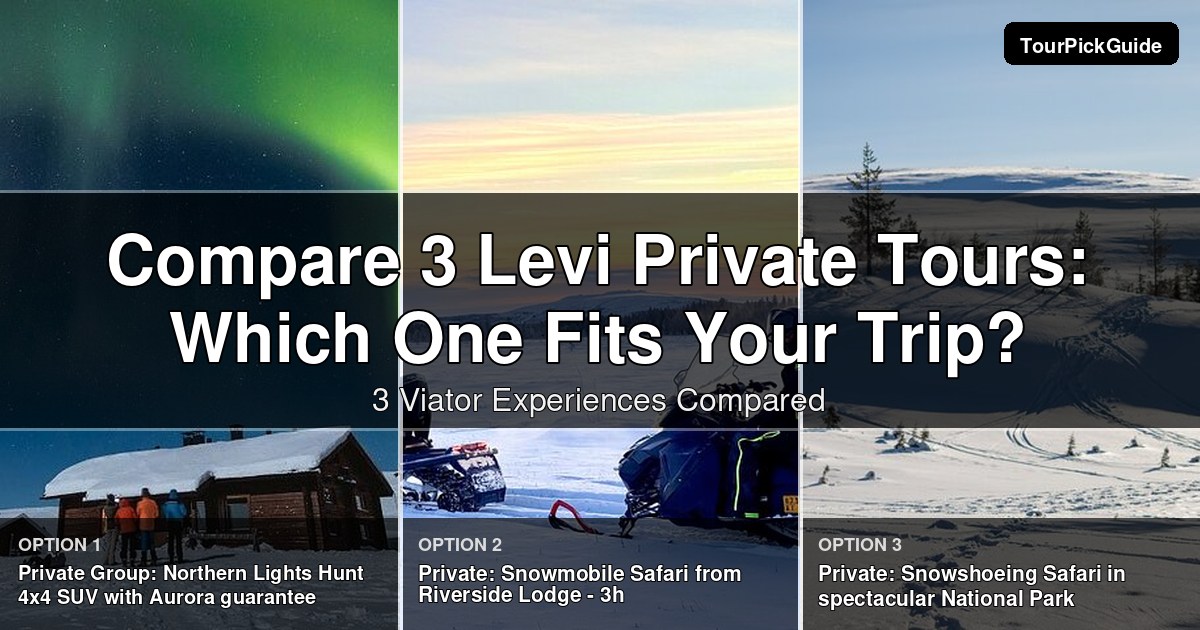Levi private tours – three Viator experiences compared