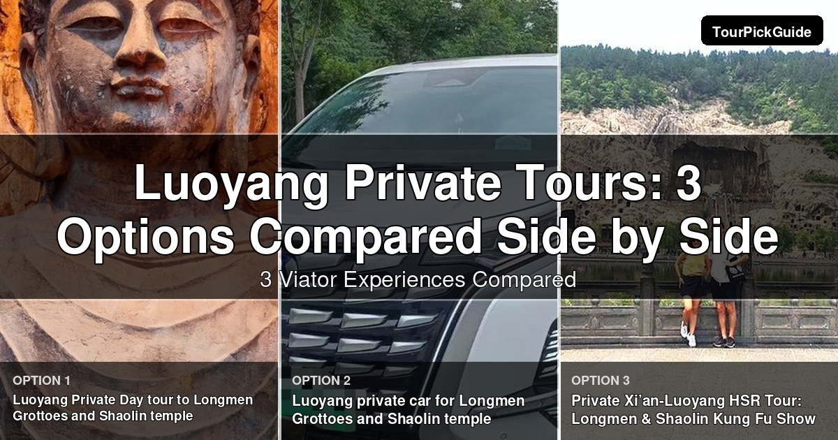 Luoyang private tours – three Viator experiences compared