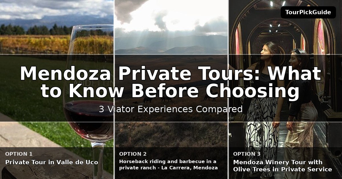 Mendoza private tours – three Viator experiences compared