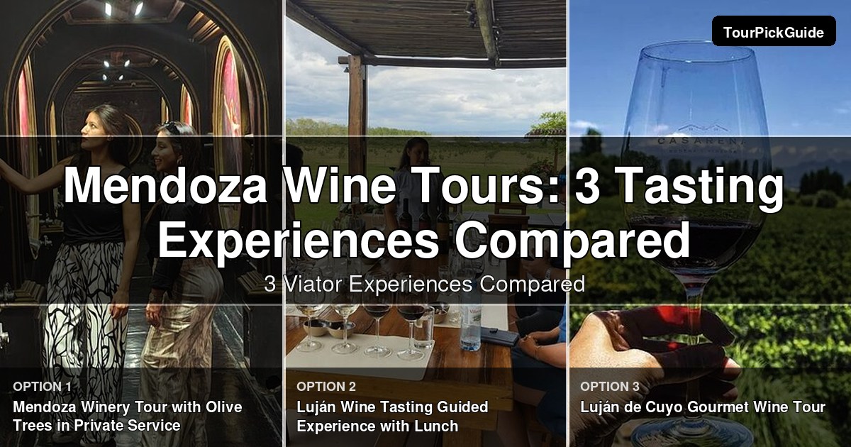 Mendoza wine tours – three Viator experiences compared