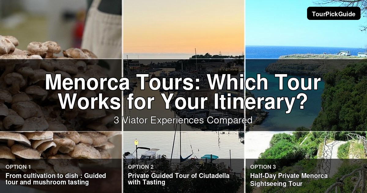 Menorca tours – three Viator experiences compared