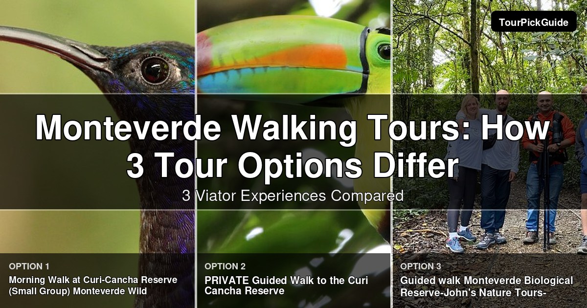 Monteverde walking tours – three Viator experiences compared