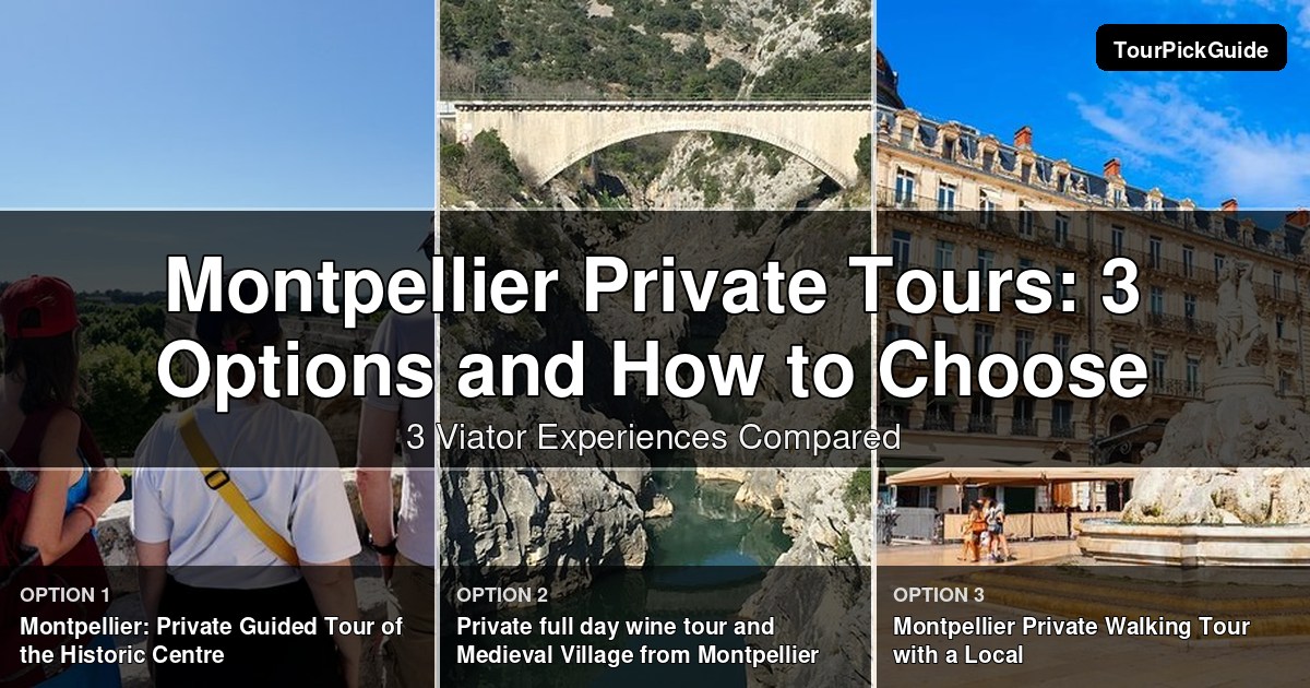 Montpellier private tours – three Viator experiences compared