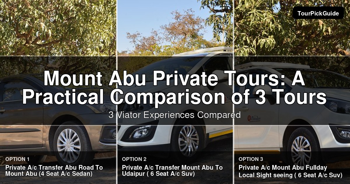 Mount Abu private tours – three Viator experiences compared