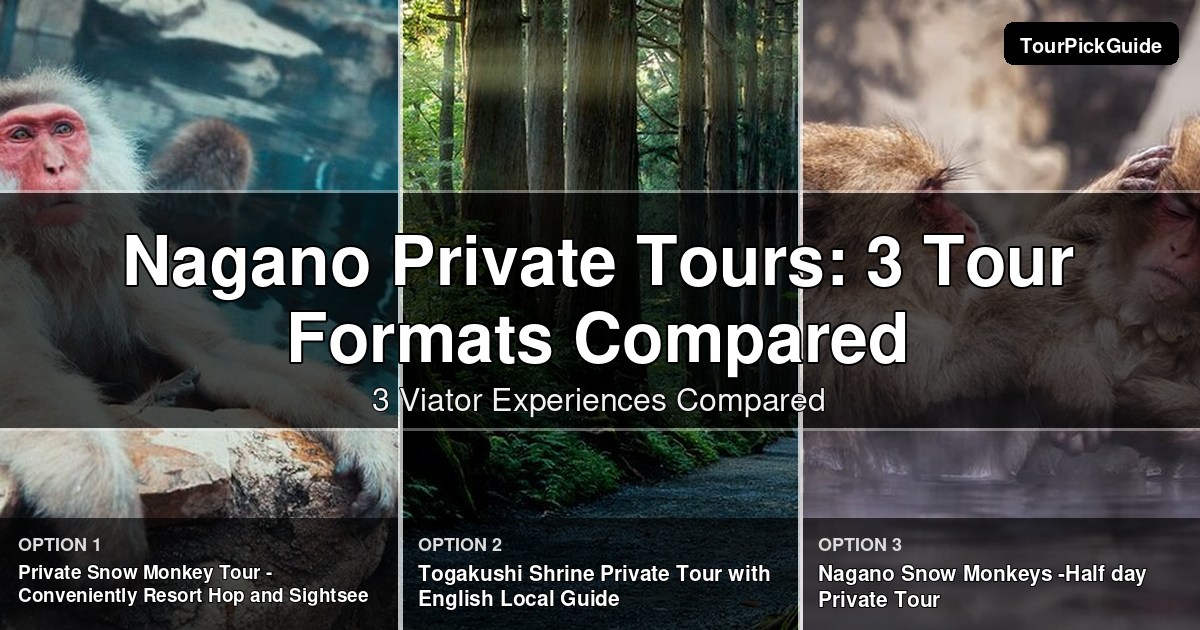 Nagano private tours – three Viator experiences compared
