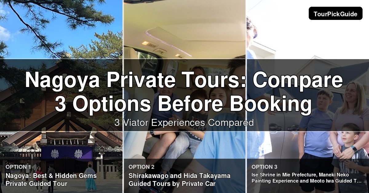 Nagoya private tours – three Viator experiences compared