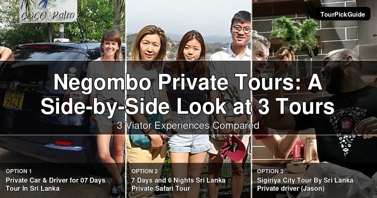 Negombo private tours – three Viator experiences compared