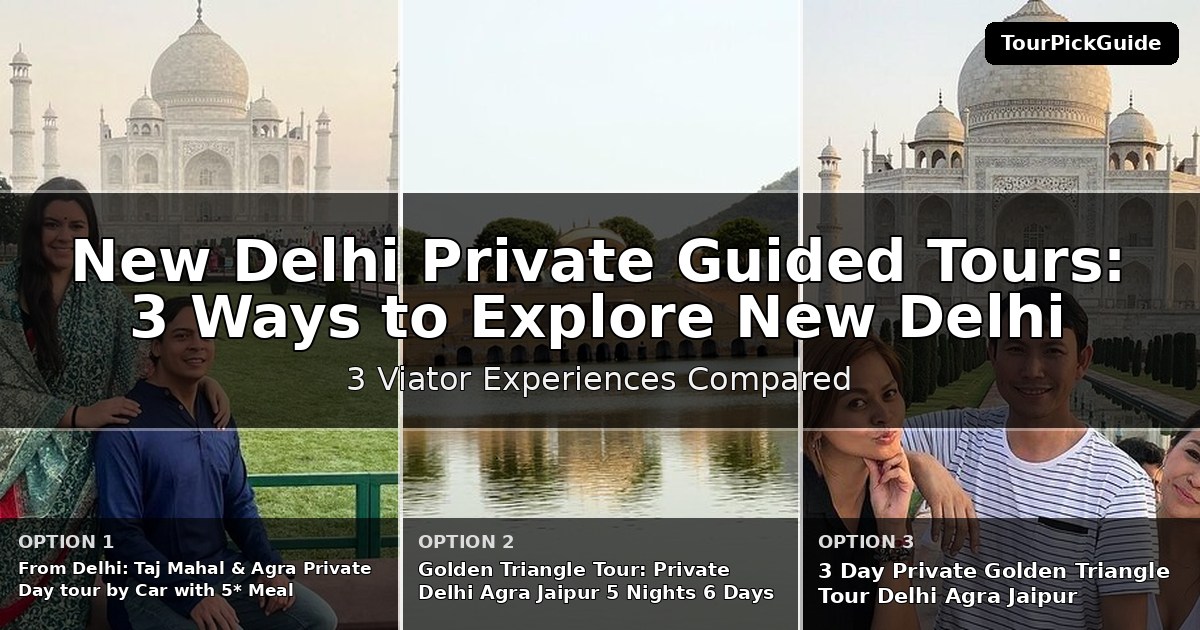 New Delhi private guided tours – three Viator experiences compared