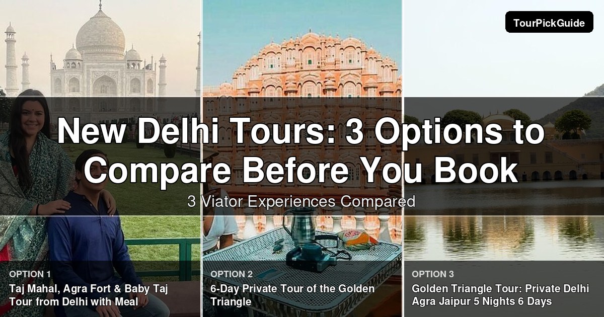 New Delhi tours – three Viator experiences compared