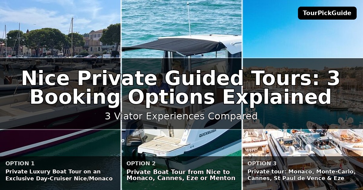 Nice private guided tours – three Viator experiences compared