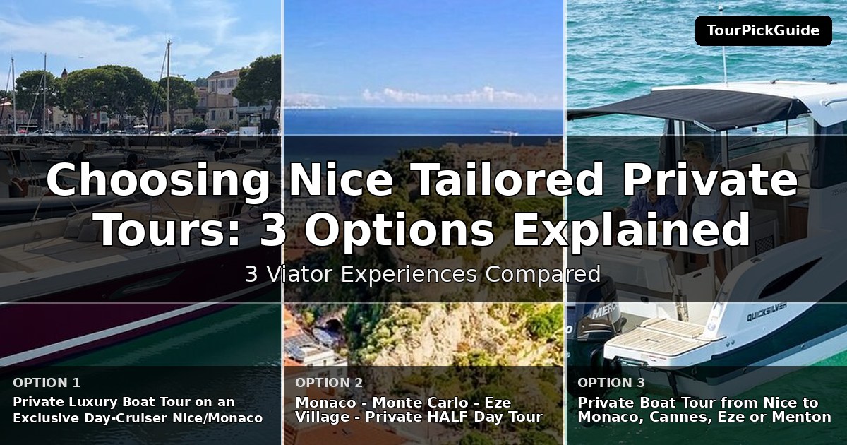 Nice tailored private tours – three Viator experiences compared