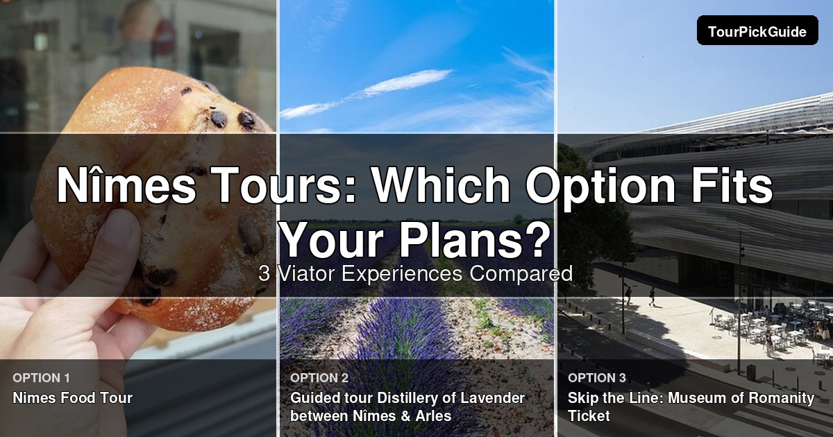 Nîmes tours – three Viator experiences compared