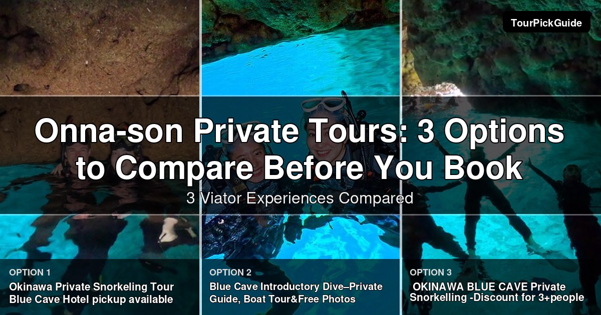 Onna-son private tours – three Viator experiences compared