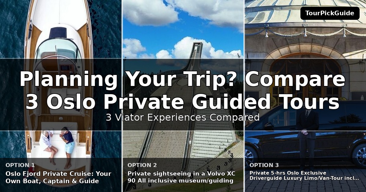 Oslo private guided tours – three Viator experiences compared