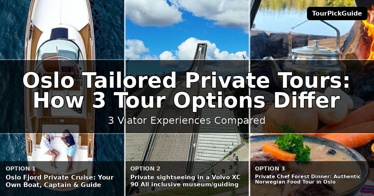 Oslo tailored private tours – three Viator experiences compared