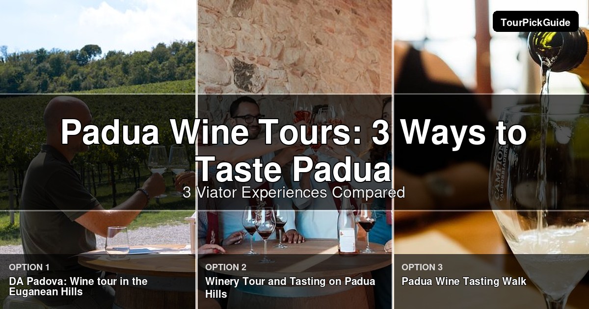 Padua wine tours – three Viator experiences compared
