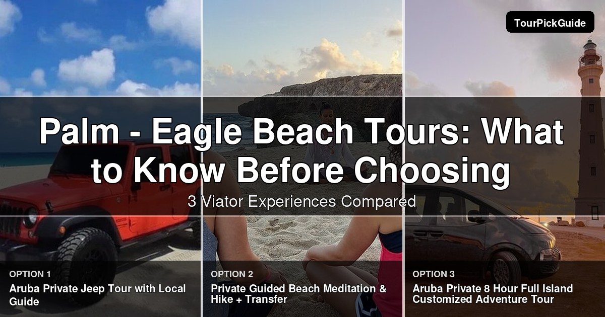 Palm - Eagle Beach tours – three Viator experiences compared
