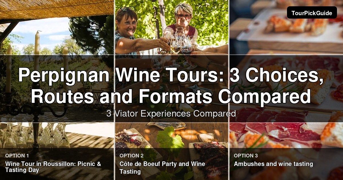 Perpignan wine tours – three Viator experiences compared