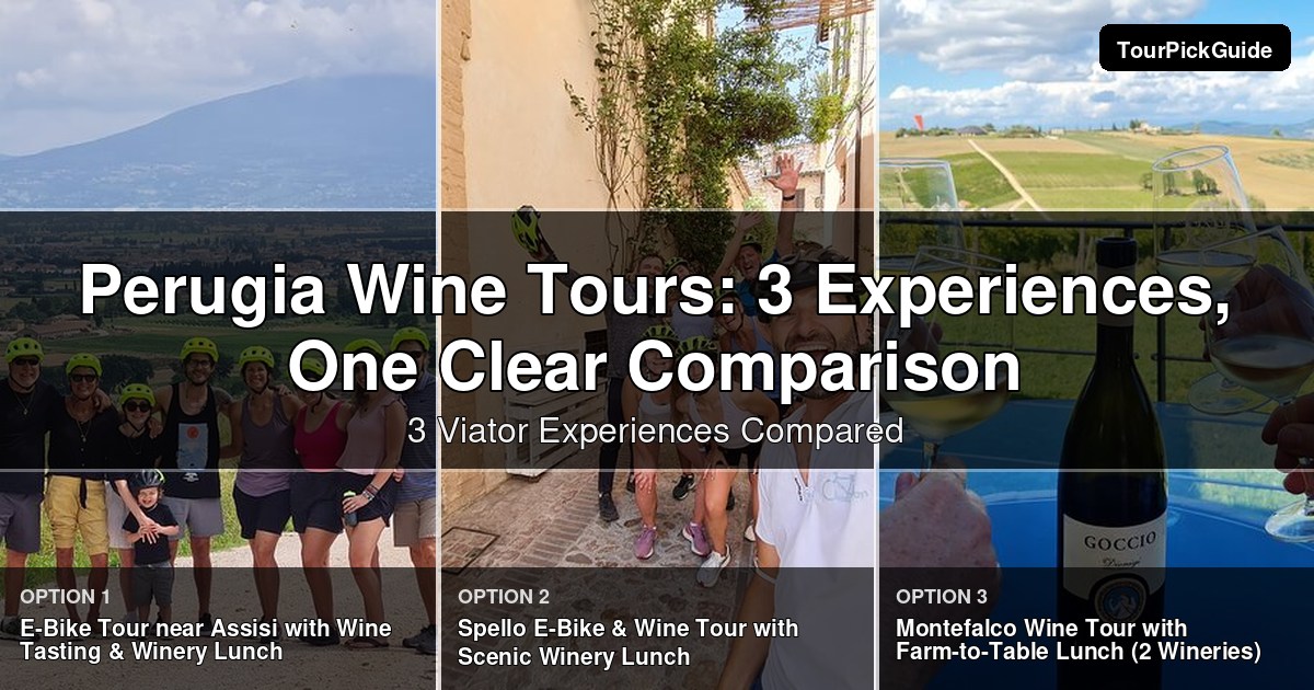 Perugia wine tours – three Viator experiences compared