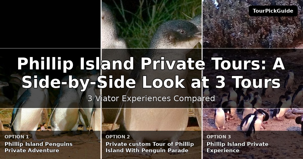 Phillip Island private tours – three Viator experiences compared