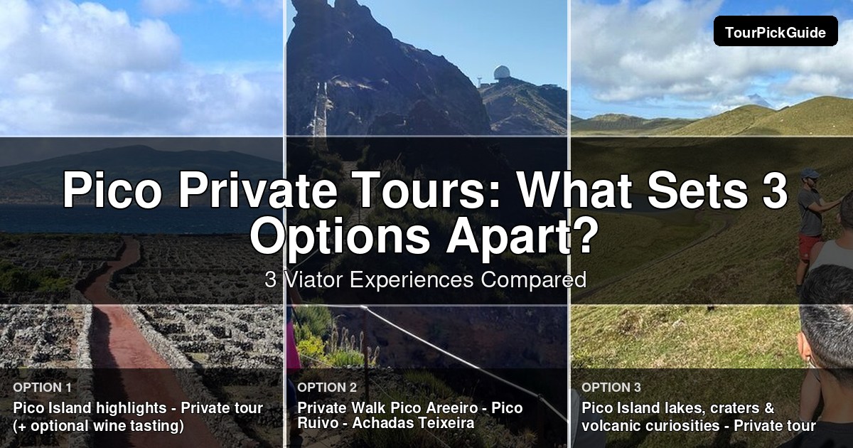 Pico private tours – three Viator experiences compared