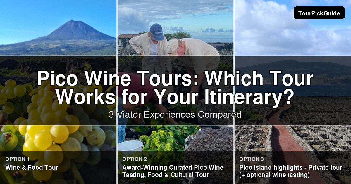 Pico wine tours – three Viator experiences compared