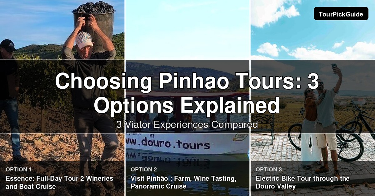 Pinhao tours – three Viator experiences compared