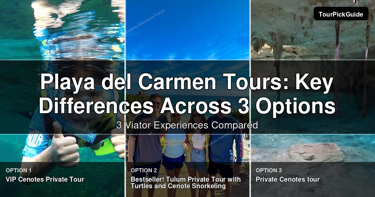 Playa del Carmen tours – three Viator experiences compared