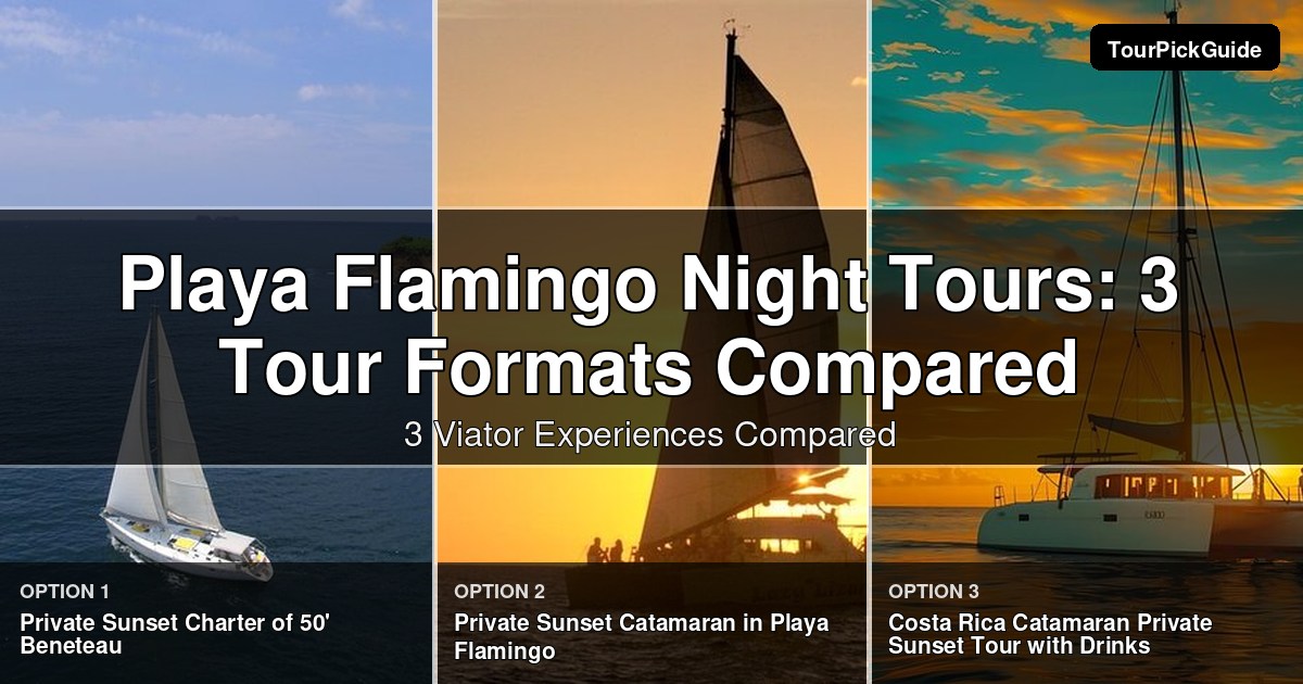 Playa Flamingo night tours – three Viator experiences compared