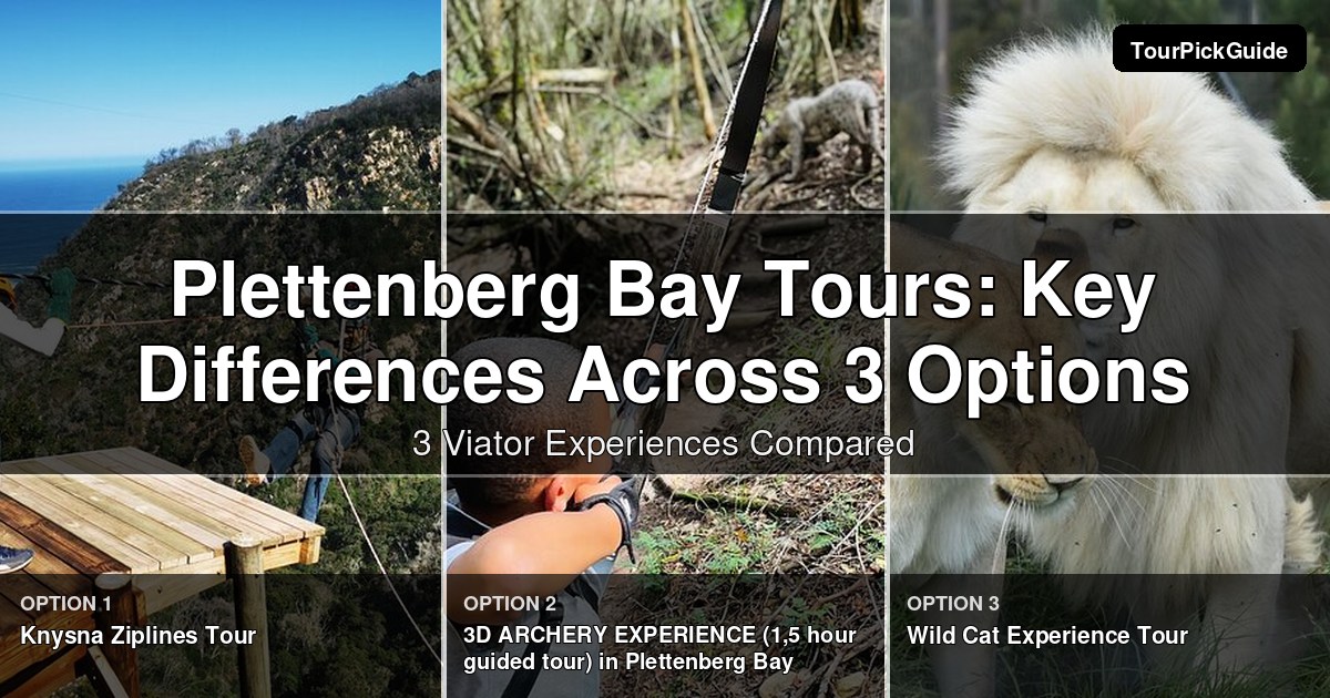 Plettenberg Bay tours – three Viator experiences compared