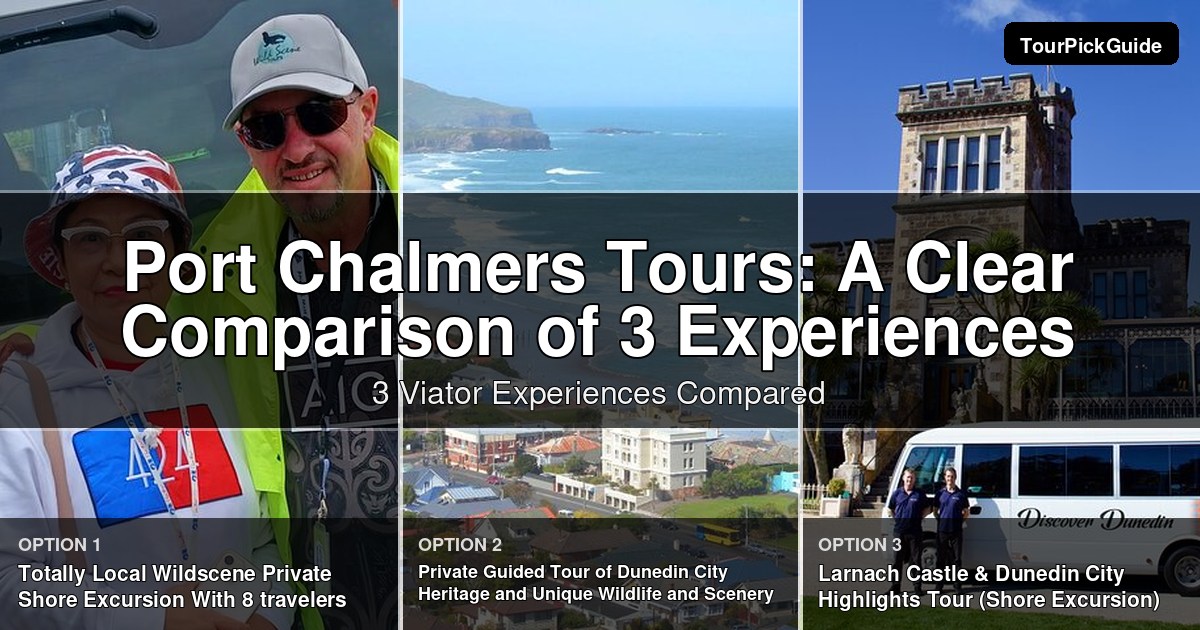 Port Chalmers tours – three Viator experiences compared