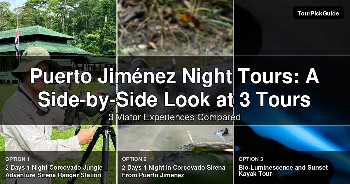 Puerto Jiménez night tours – three Viator experiences compared
