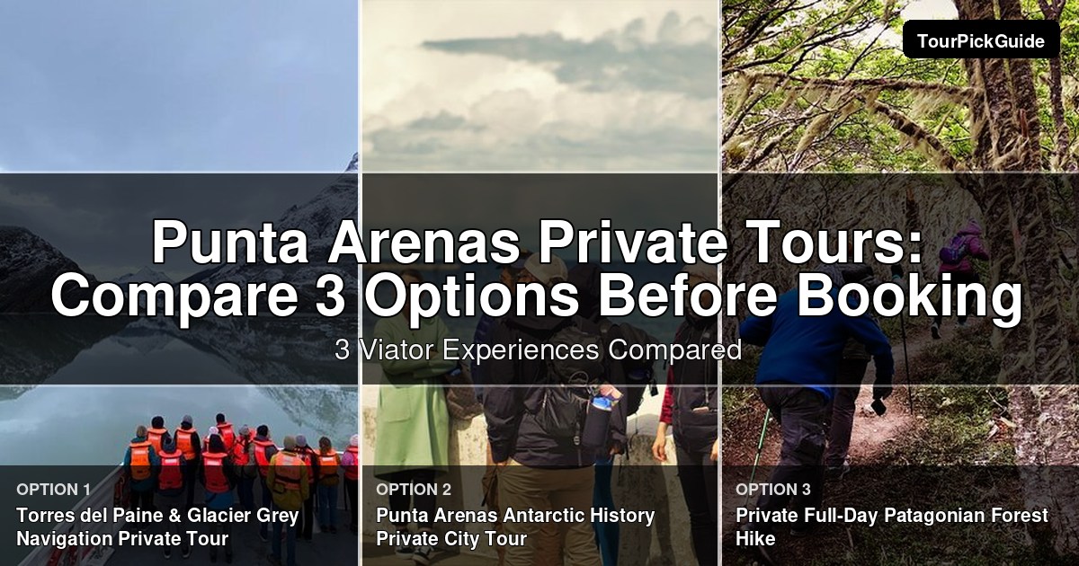 Punta Arenas private tours – three Viator experiences compared