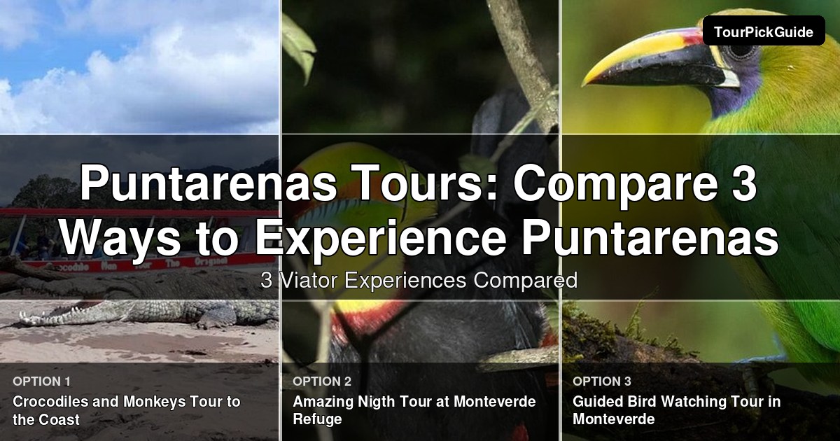 Puntarenas tours – three Viator experiences compared