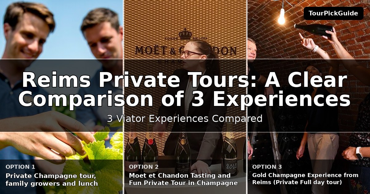 Reims private tours – three Viator experiences compared