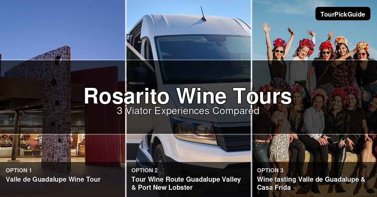 Rosarito wine tours – three Viator experiences compared
