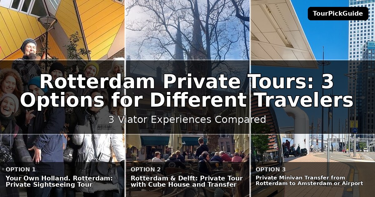 Rotterdam private tours – three Viator experiences compared