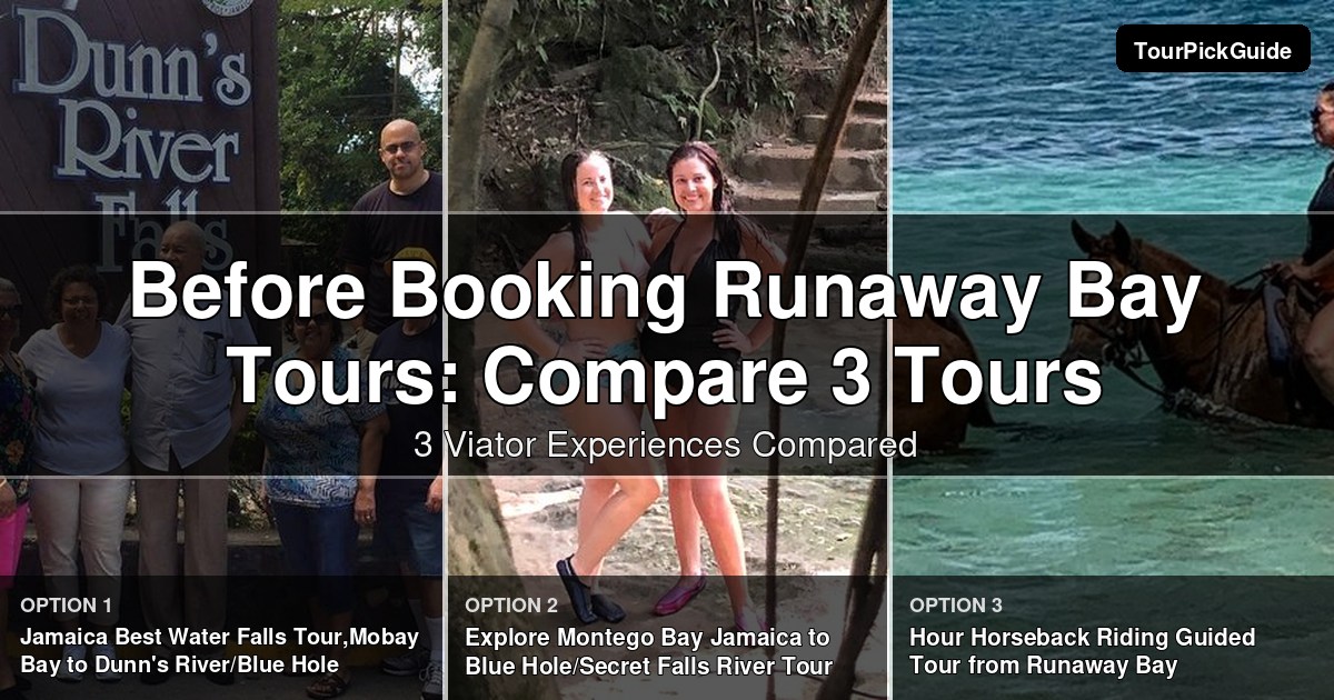Runaway Bay tours – three Viator experiences compared