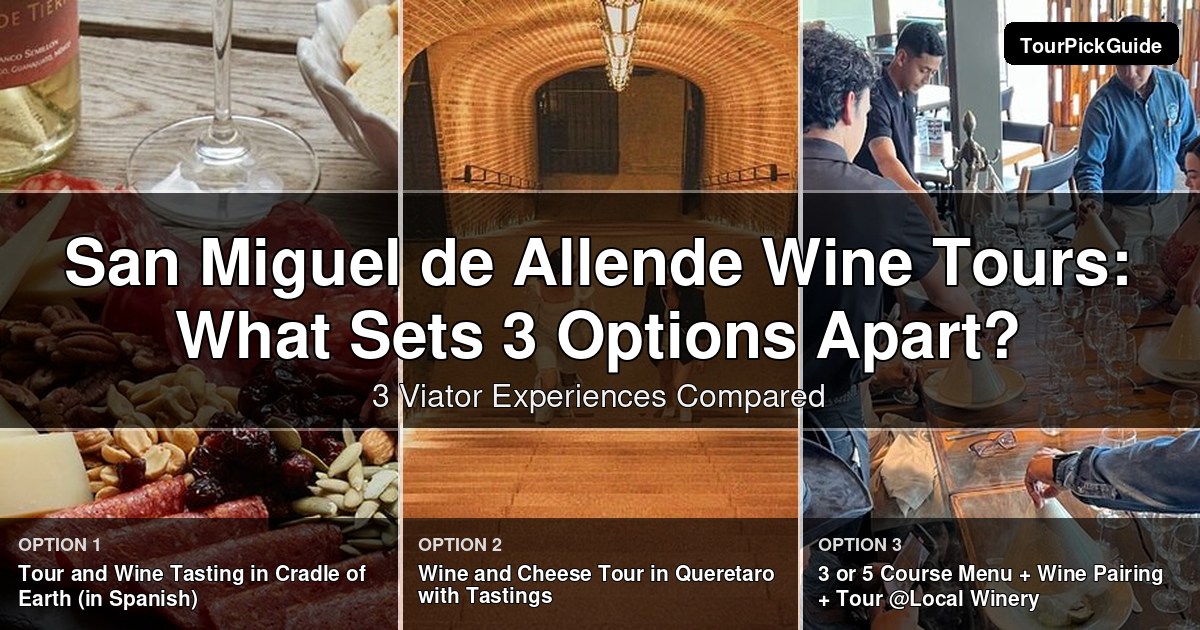 San Miguel de Allende wine tours – three Viator experiences compared