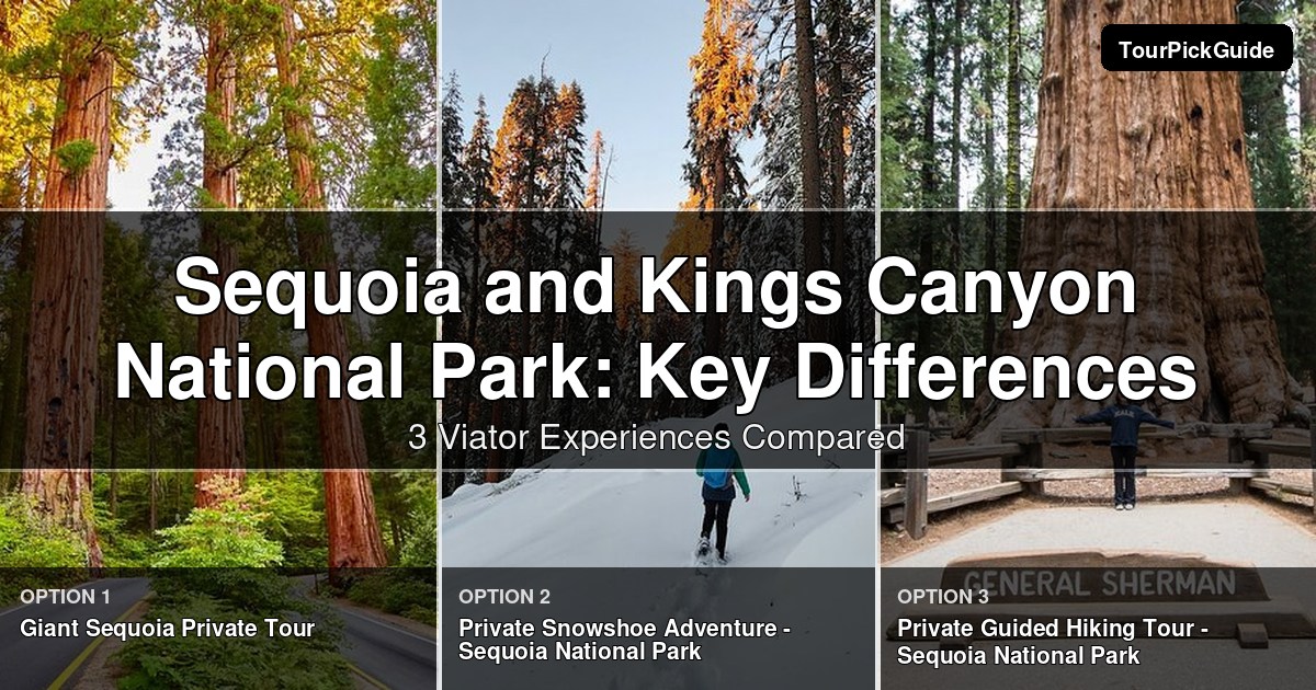 Sequoia and Kings Canyon National Park private tours – three Viator experiences compared