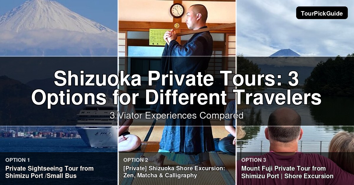 Shizuoka private tours – three Viator experiences compared