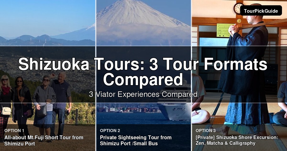 Shizuoka tours – three Viator experiences compared