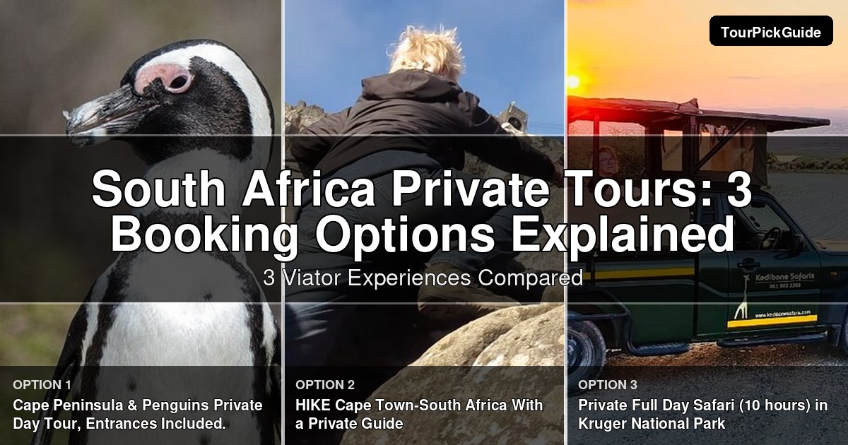 South Africa private tours – three Viator experiences compared