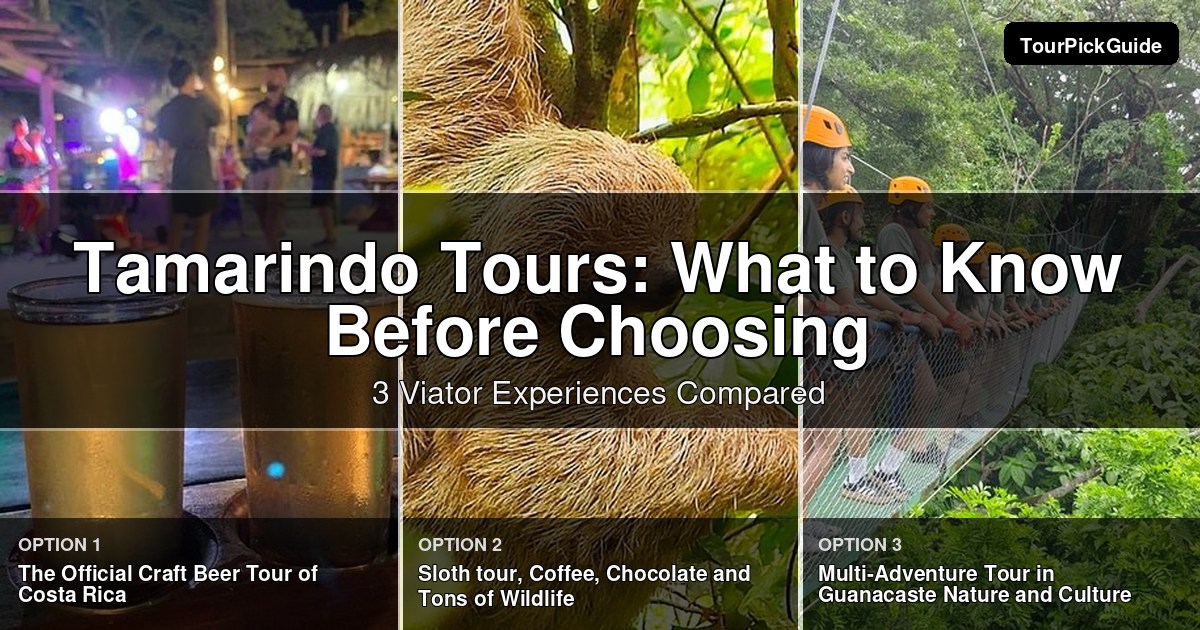 Tamarindo tours – three Viator experiences compared