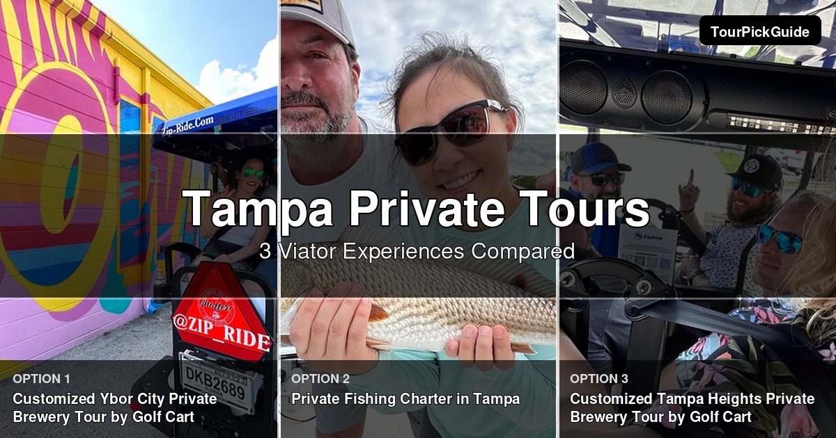 Tampa private tours – three Viator experiences compared