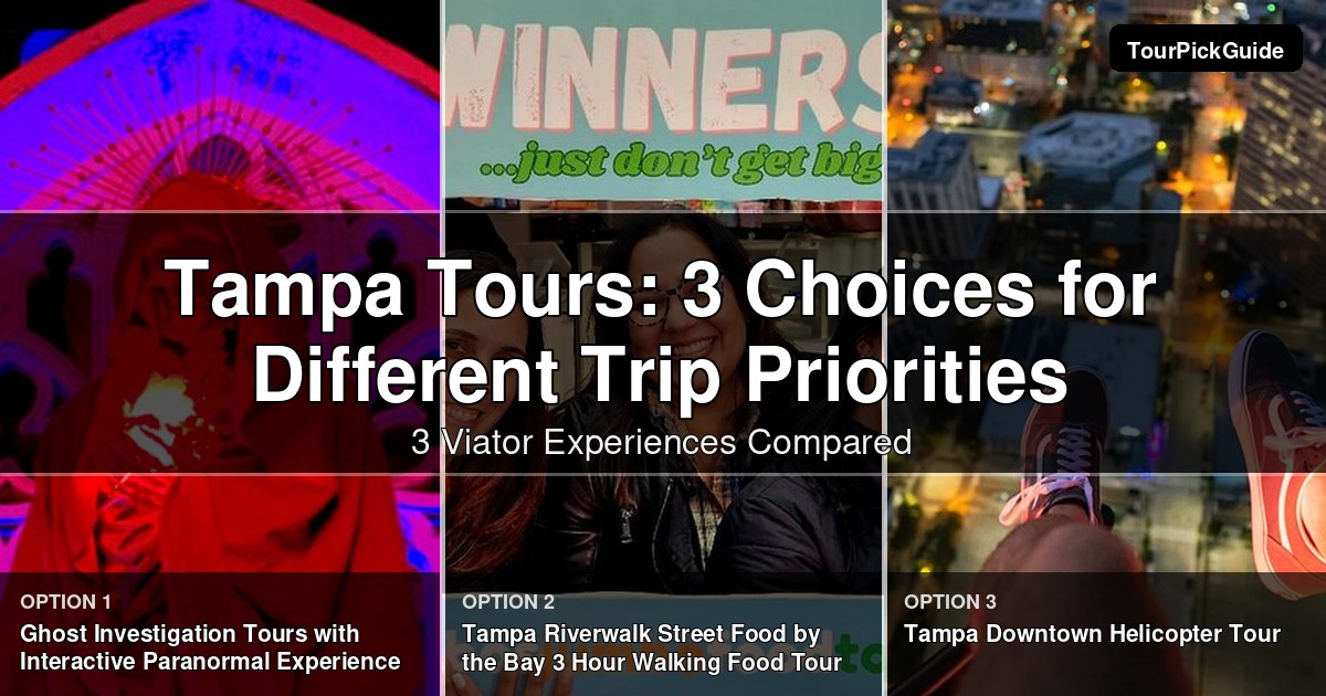 Tampa tours – three Viator experiences compared