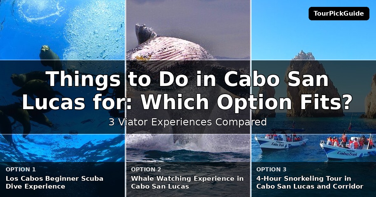 things to do in Cabo San Lucas for first time visitors – three Viator experiences compared