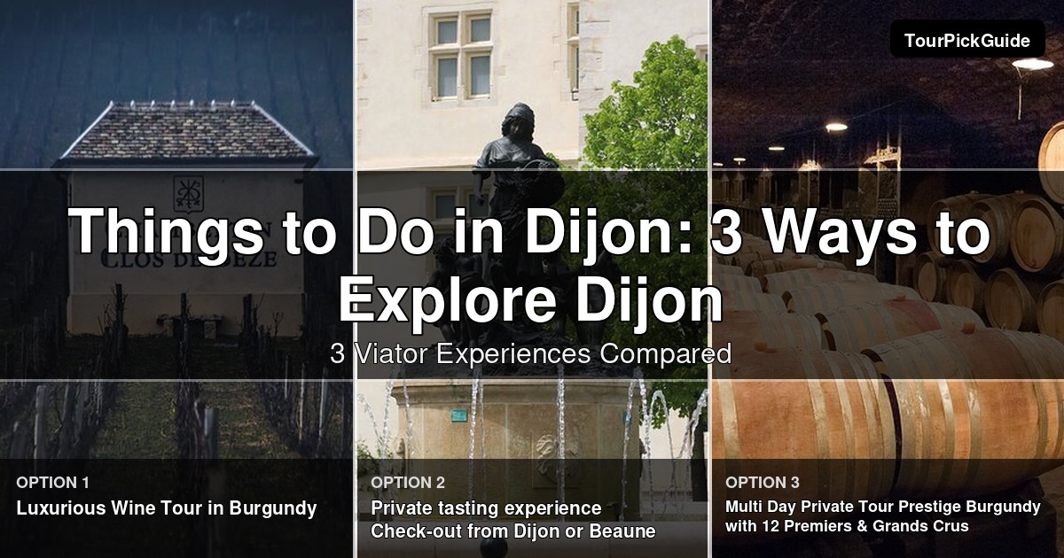things to do in Dijon – three Viator experiences compared