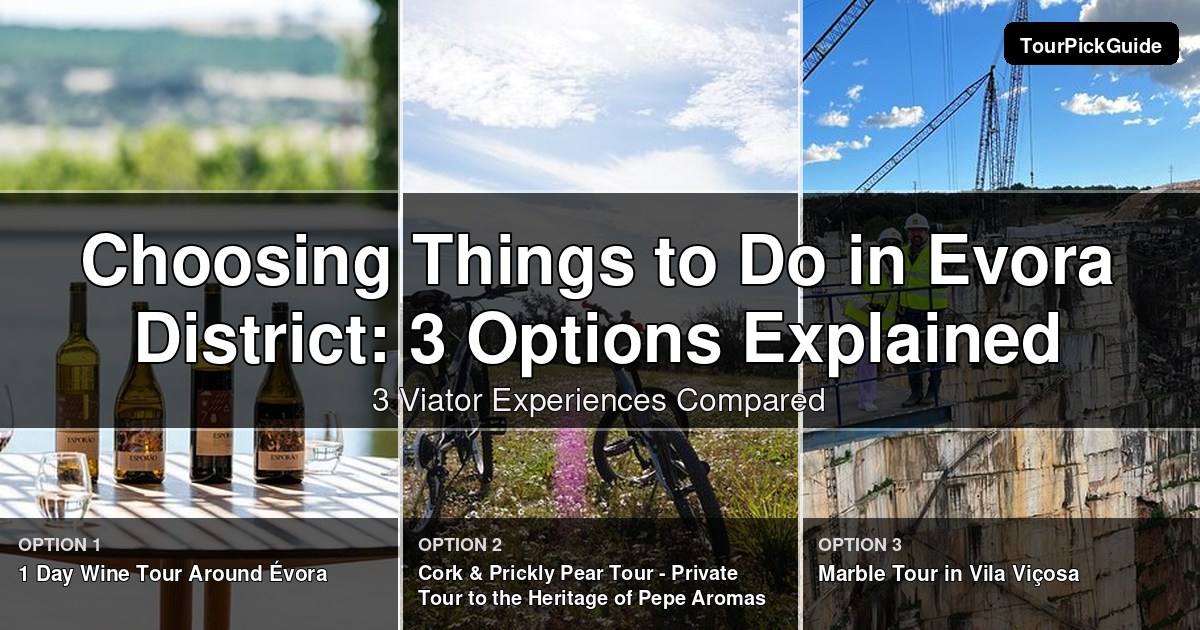 things to do in Evora District – three Viator experiences compared