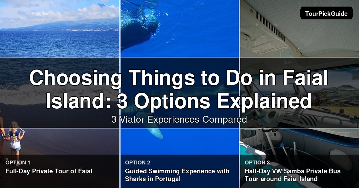 things to do in Faial Island – three Viator experiences compared